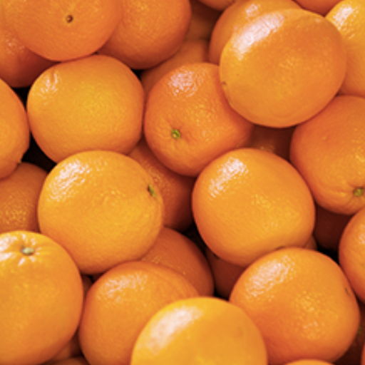 Oranges à jus bio résa - à lire