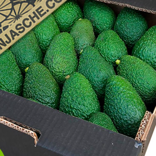 Avocats bio résa - à lire