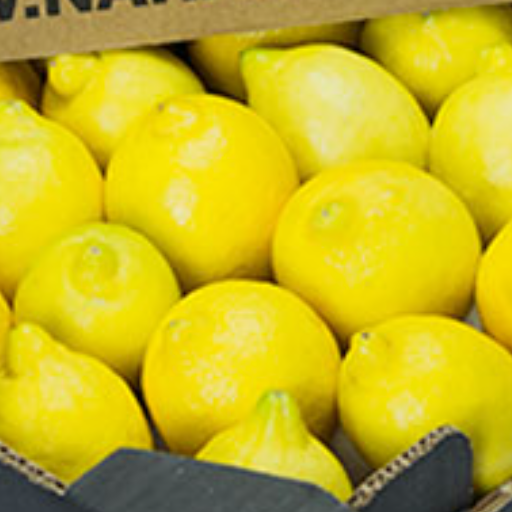 Citrons jaunes bio résa - à lire