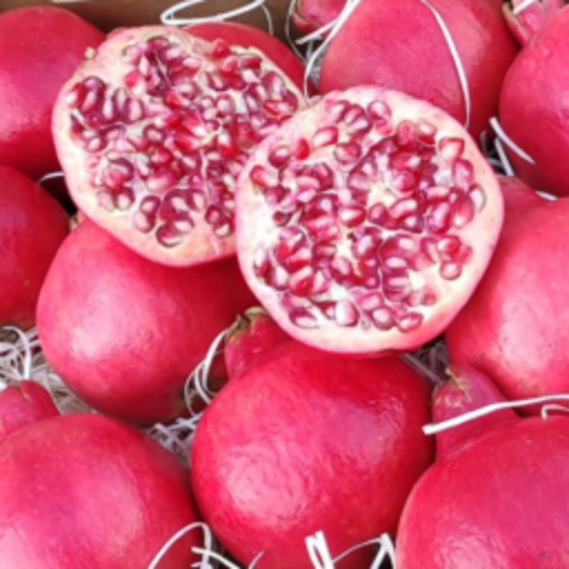 Grenades bio résa - à lire