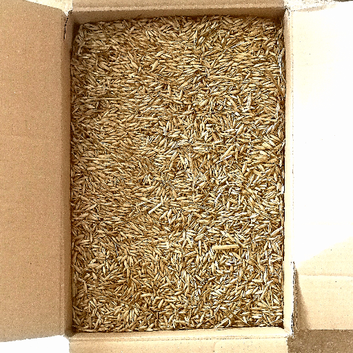 Avoine blanche pour animaux