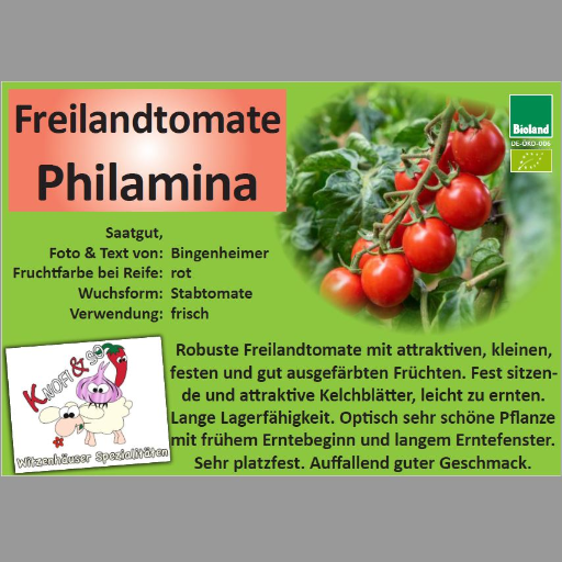 Buy Philamina - Bioland-Freiland-Tomaten-Jungpflanze - Local Products ...