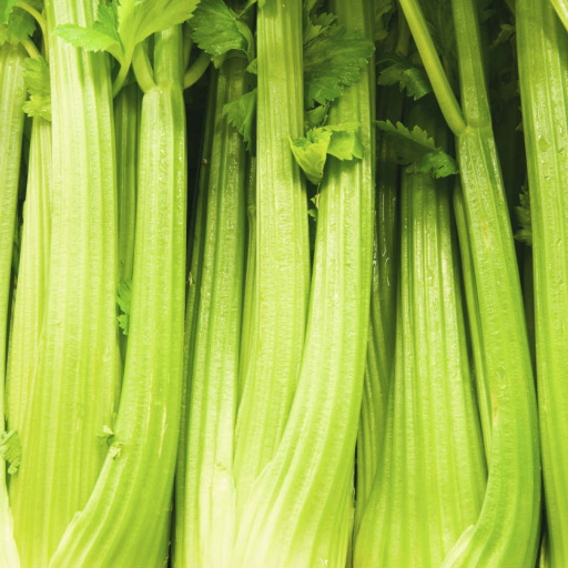 Buy Apio - Local Products | CrowdFarming