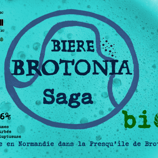 Brotonia Bière Viking Saga biologique 🌼