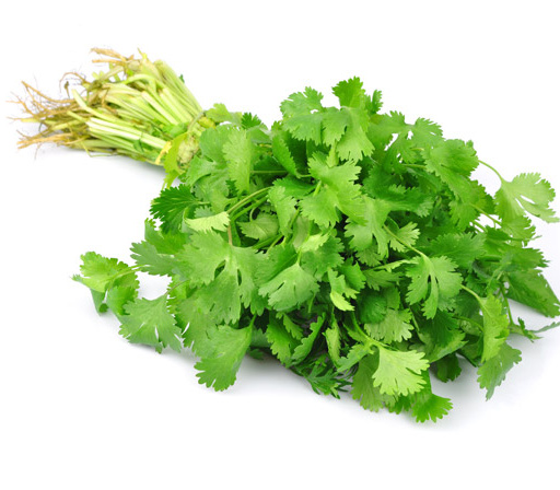 Buy Cilantro - Local Products | CrowdFarming